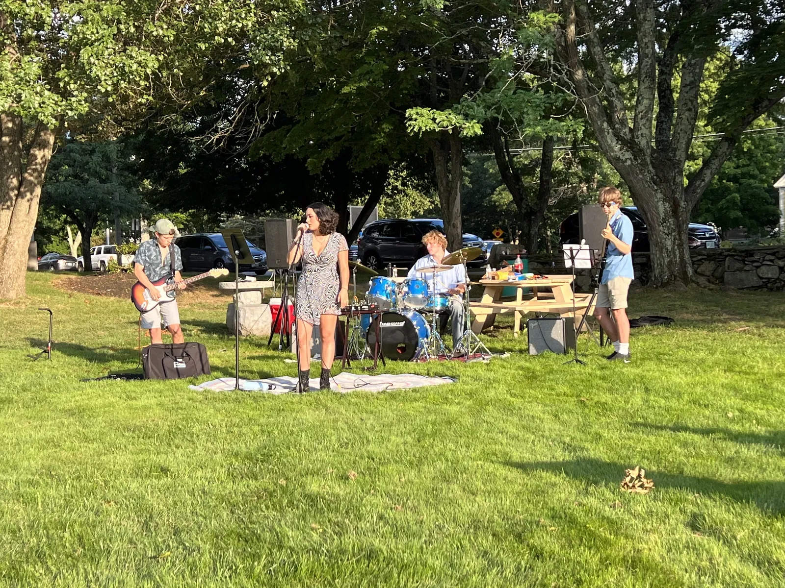 Band picnic